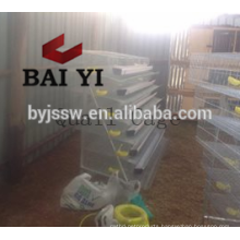 Automatic Quail Cage With Watering, Feeding, Cleaning System